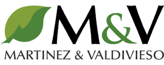 Martínez y Valdivieso